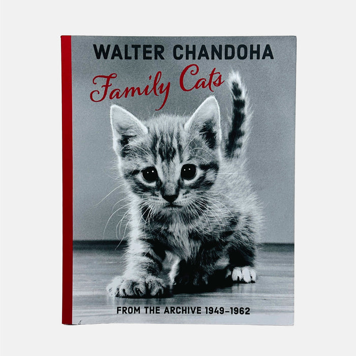 Family Cats - From The Archive 1949 - 1962