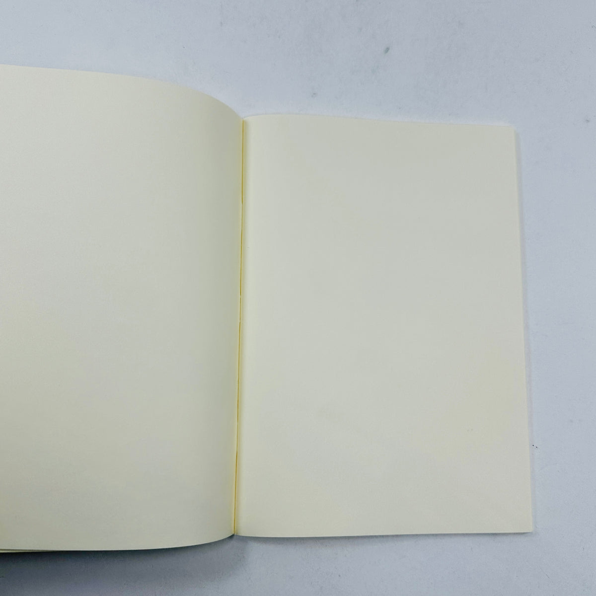 Fishes and Crabs Notebook