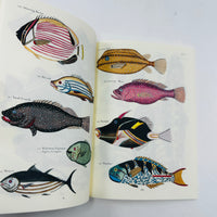 Fishes and Crabs Notebook