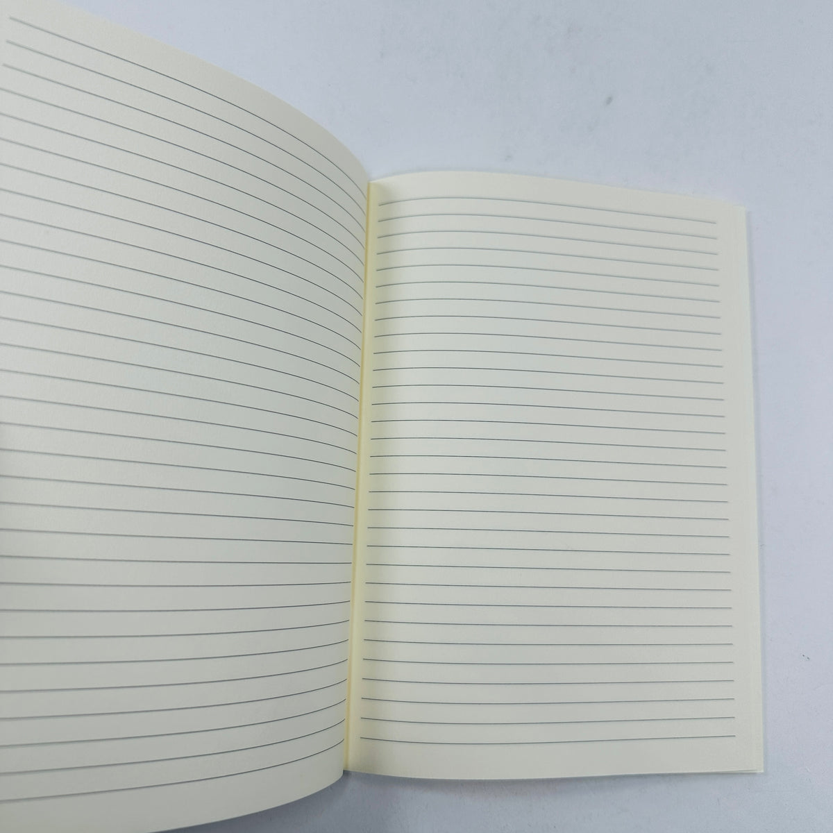 Fishes and Crabs Notebook