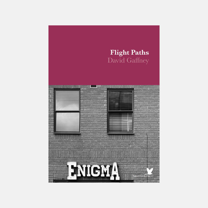 Flight Paths - David Gaffney