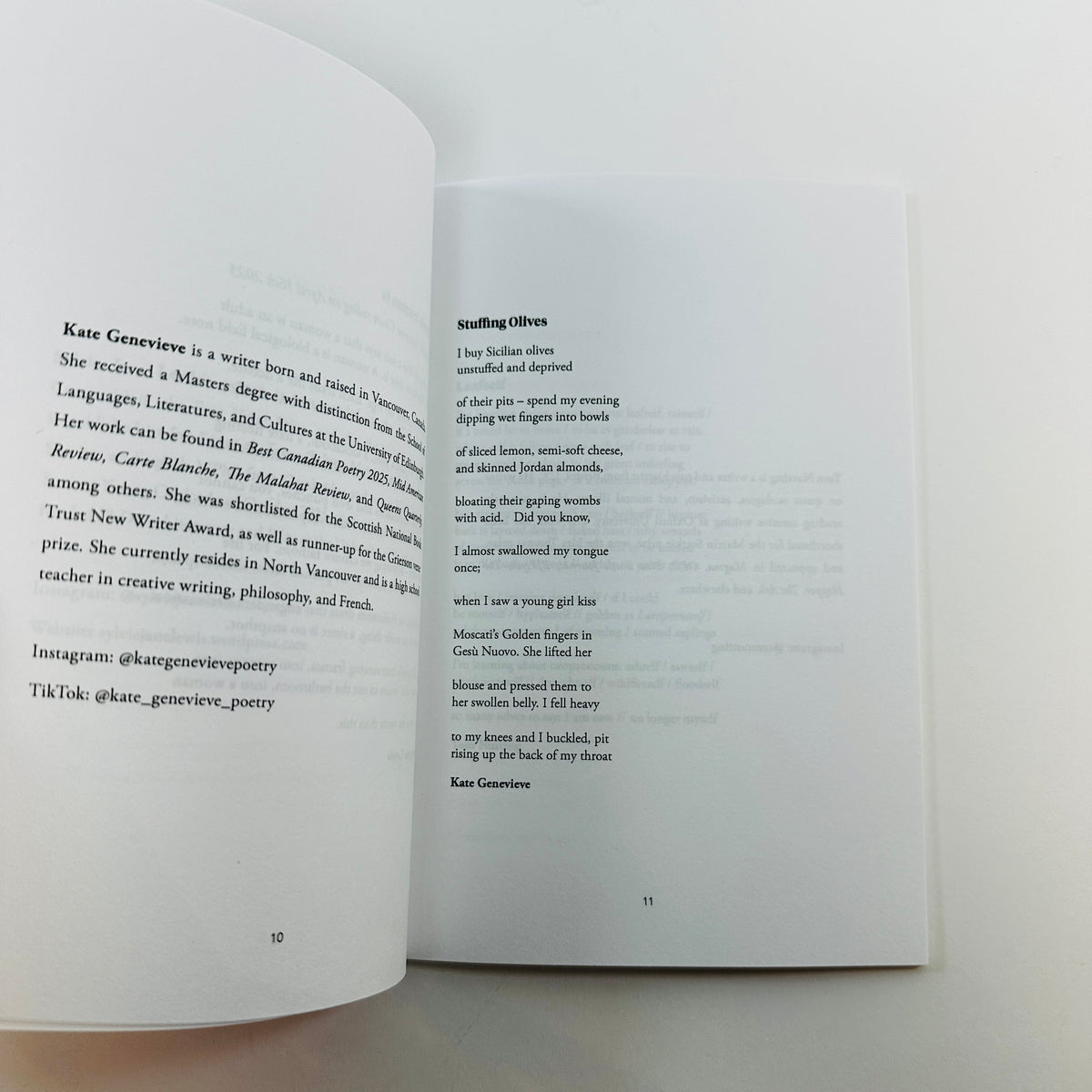 Fourteen Poems #17 - Queer Poetry Anthology