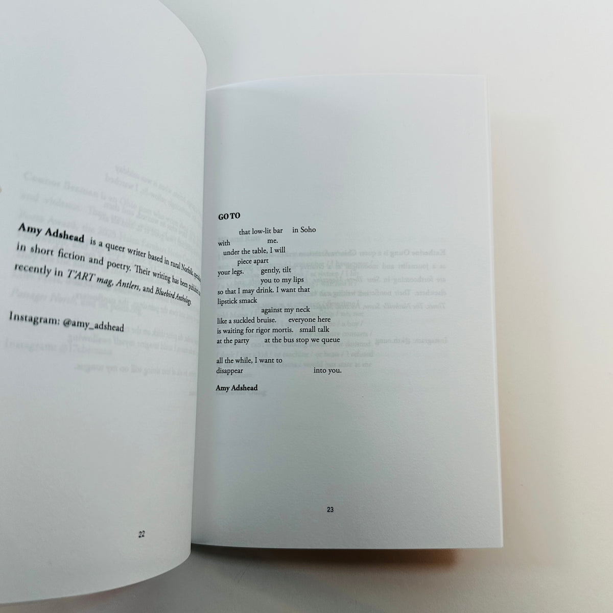 Fourteen Poems #17 - Queer Poetry Anthology