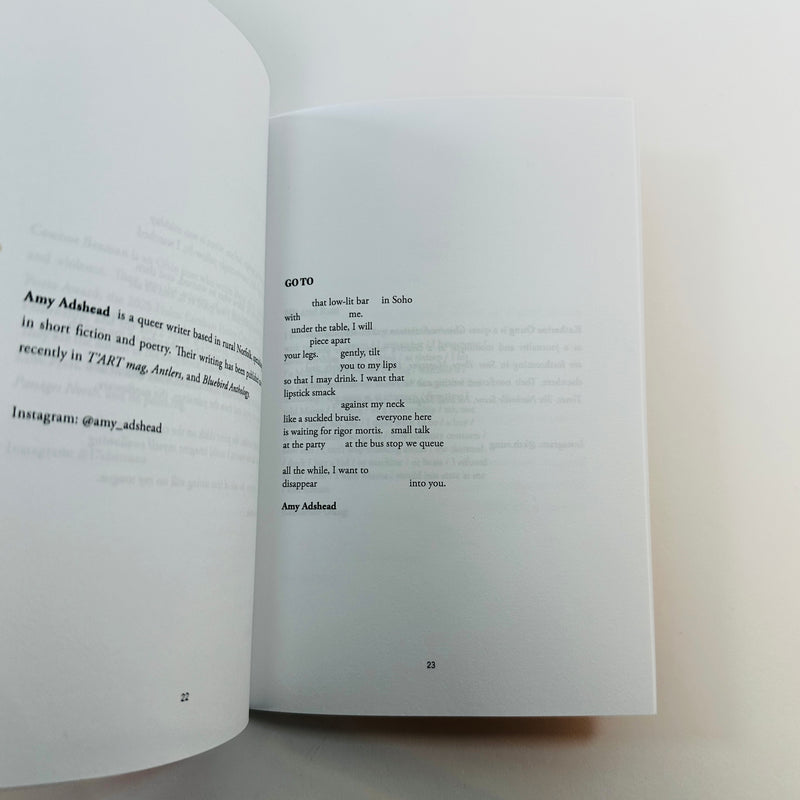 Fourteen Poems #17 - Queer Poetry Anthology