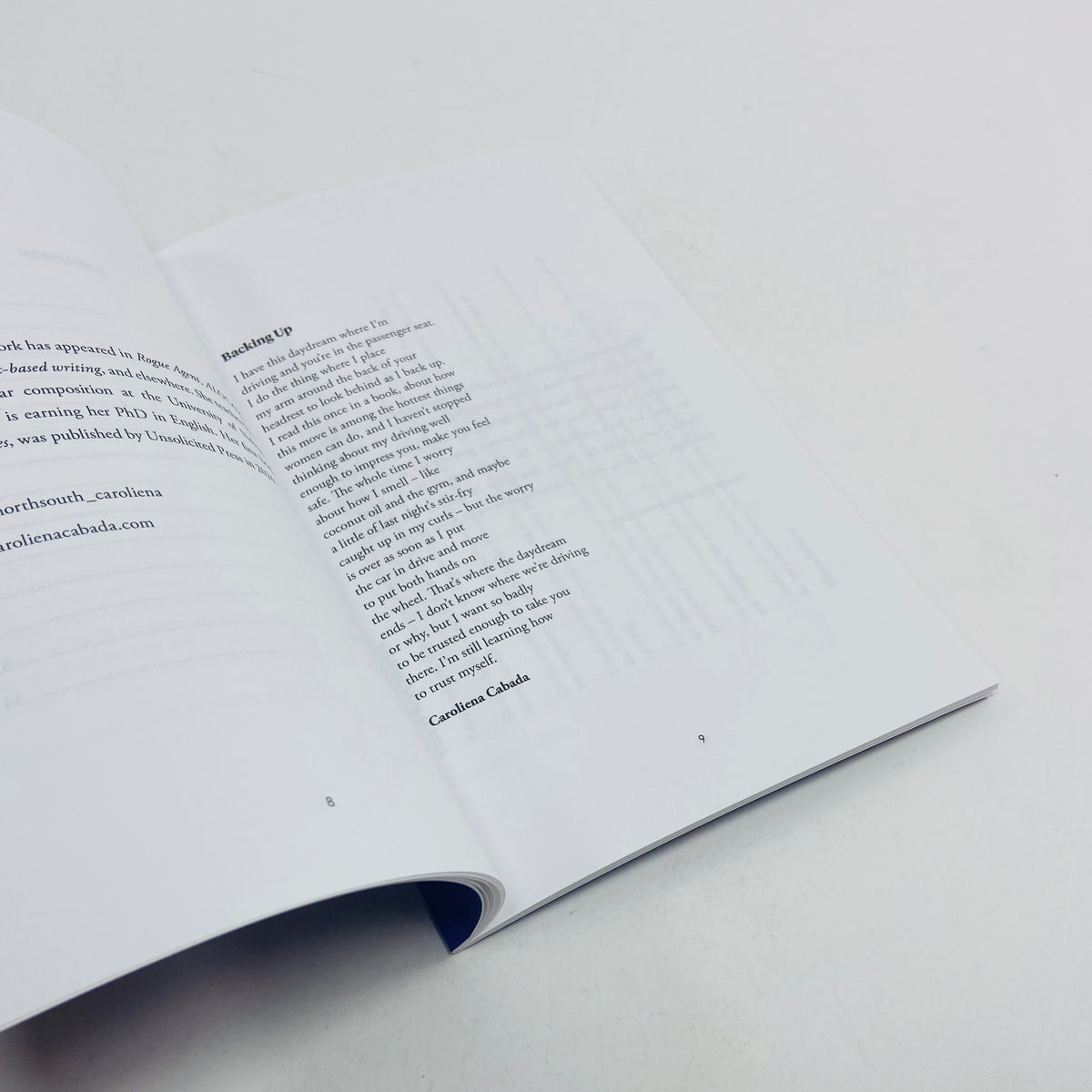 Fourteen Poems #18 - Queer Poetry Anthology