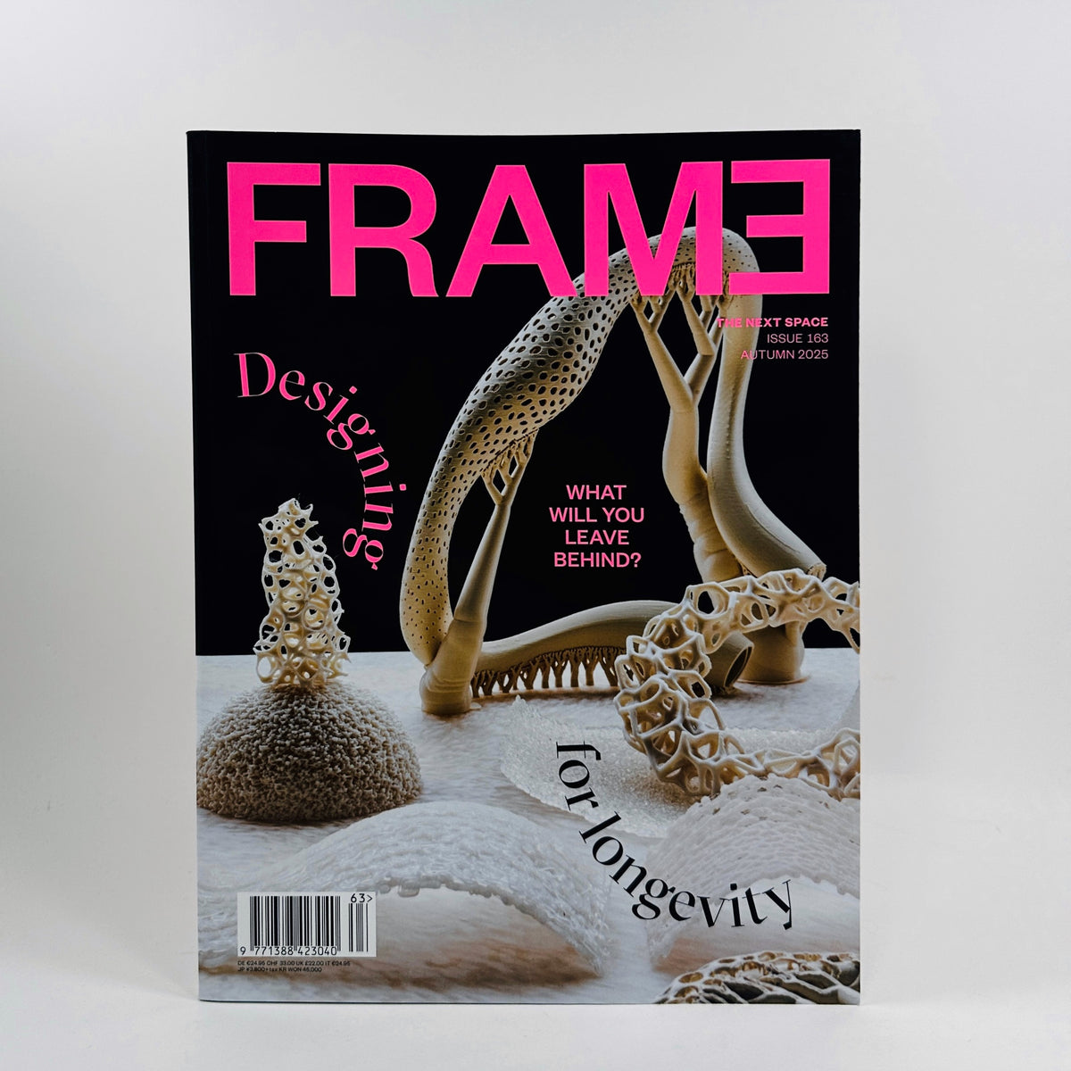 Frame #163 - The Next Space - Autumn 2025