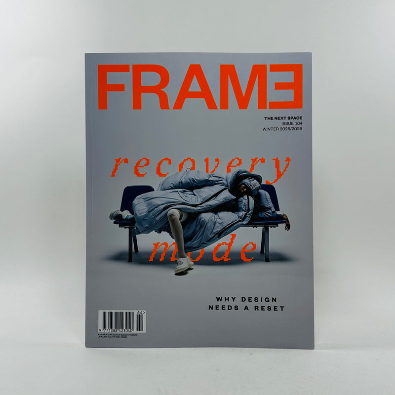 Frame #164 - Winter - Recovery Mode