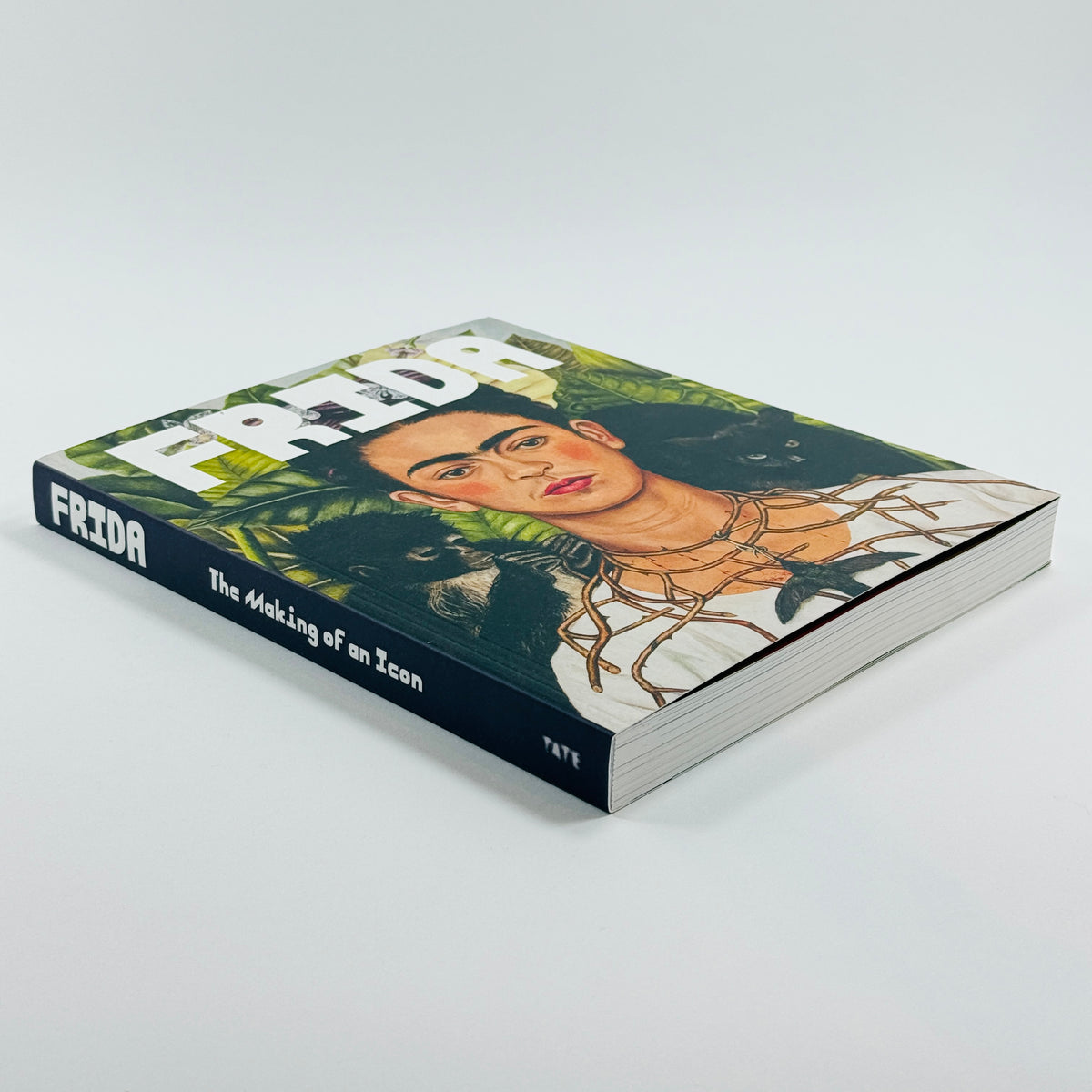 Frida - The Making of an Icon