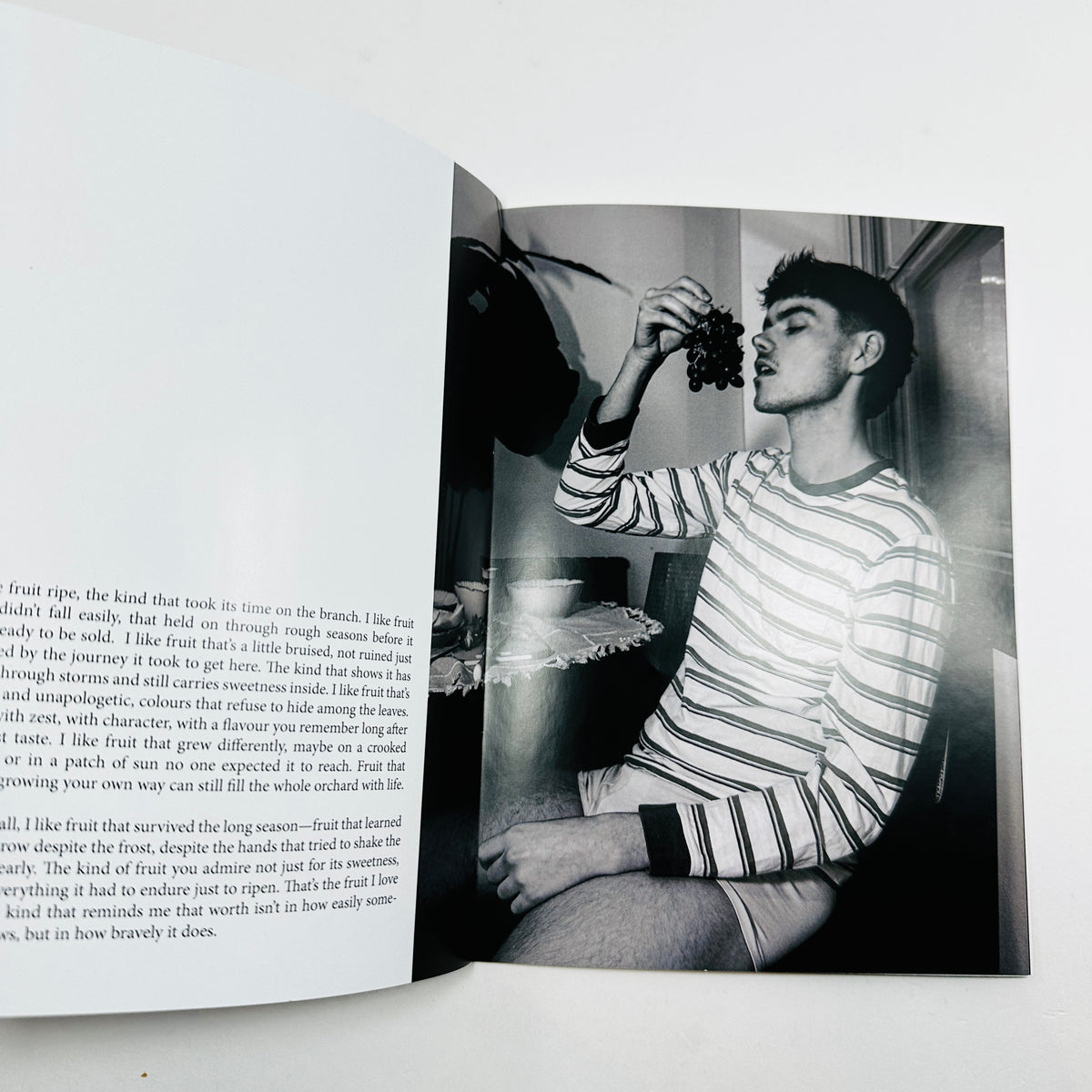 Fruit - Logan Screen