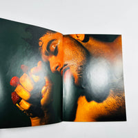 Fruit - Logan Screen