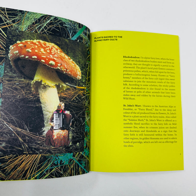 Fruit of Mythic Dreaming - Imagined Folklore and Otherworld Botany