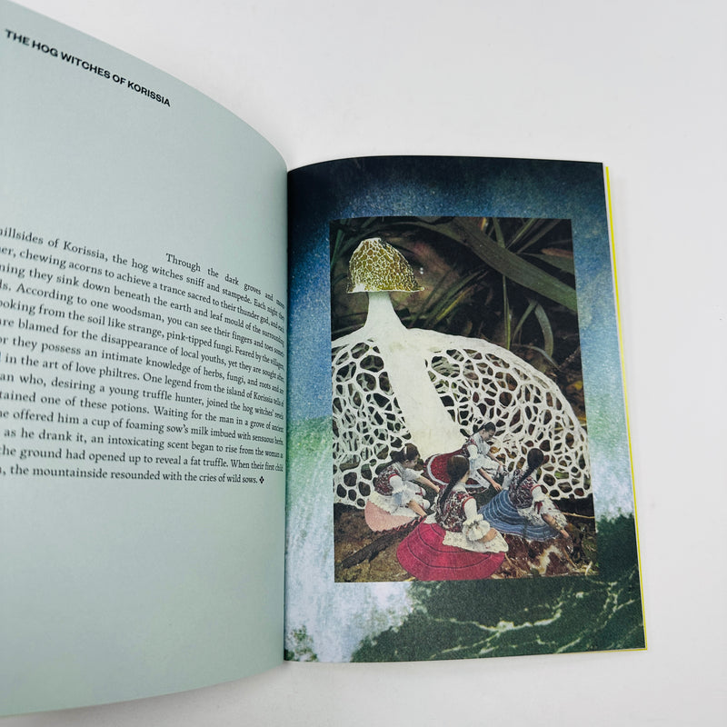 Fruit of Mythic Dreaming - Imagined Folklore and Otherworld Botany