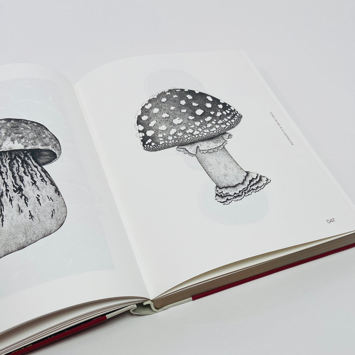 Fungal Inspiration - Art and Design Inspired by Wild Nature