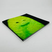 encephalon/:thepastwillsurvivethefuture - Gary Statham