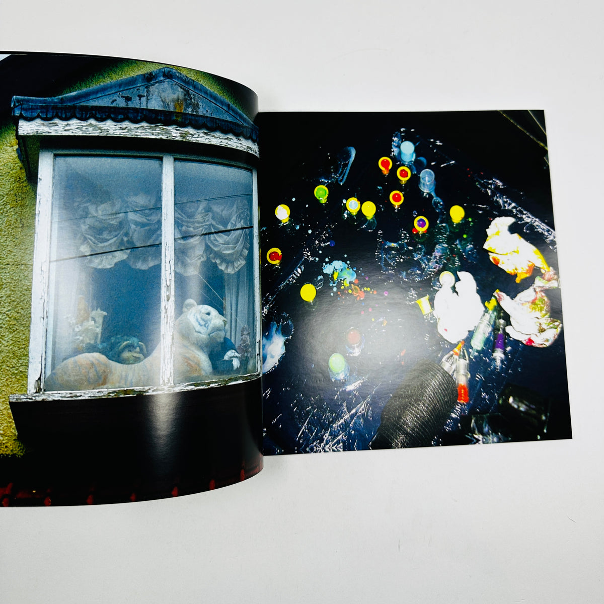 encephalon/:thepastwillsurvivethefuture - Gary Statham