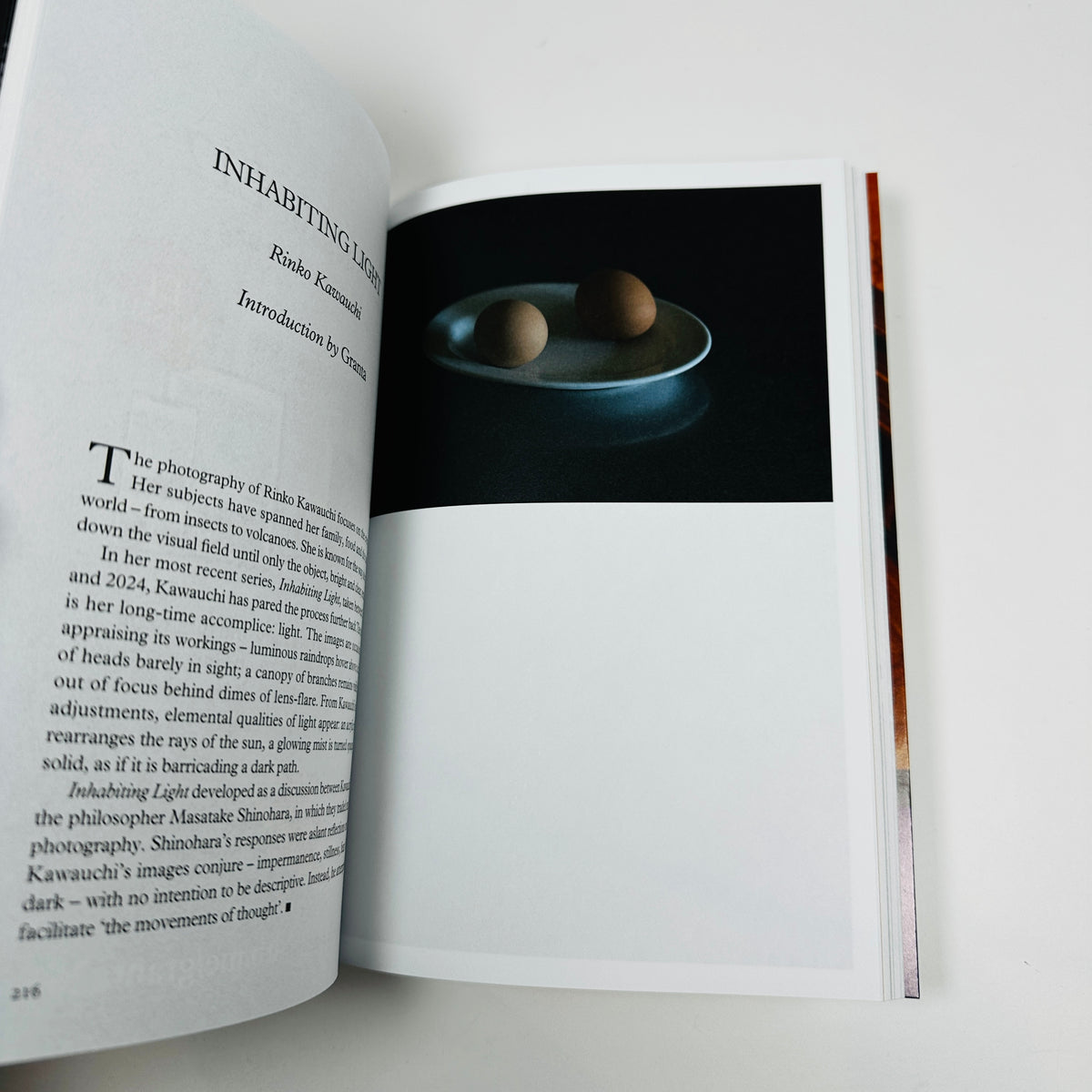 Granta #174 - Therapy