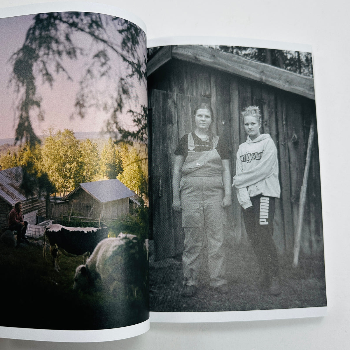 Granta #175 - Scandinavia