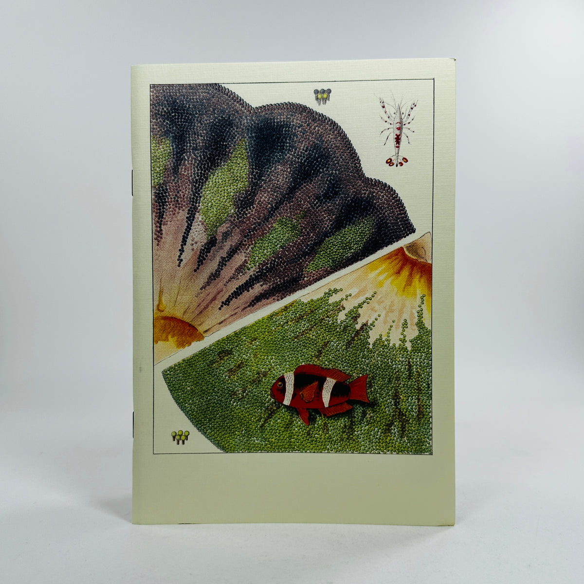 Great Barrier Reef Notebook