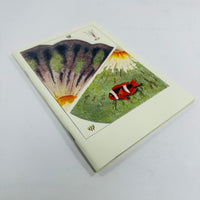 Great Barrier Reef Notebook