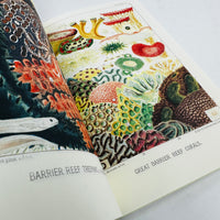 Great Barrier Reef Notebook