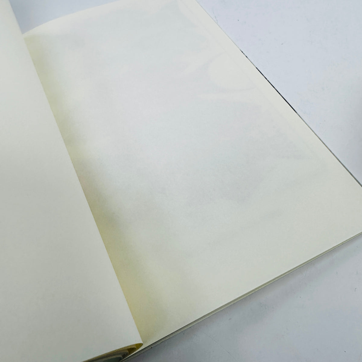 Great Barrier Reef Notebook