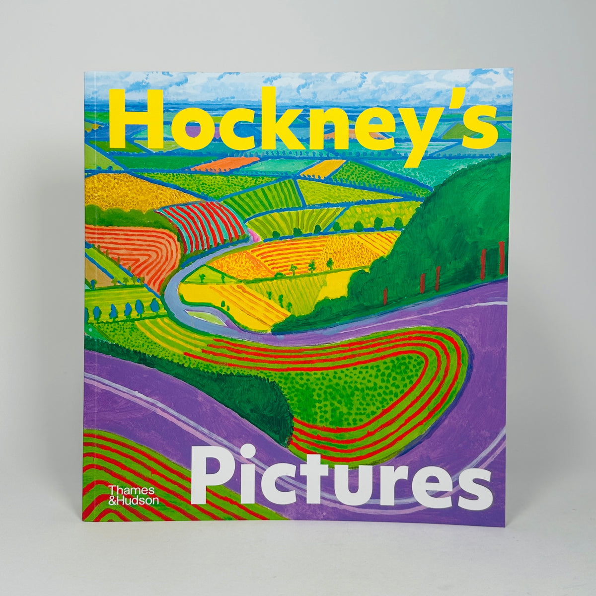 Hockney's Pictures