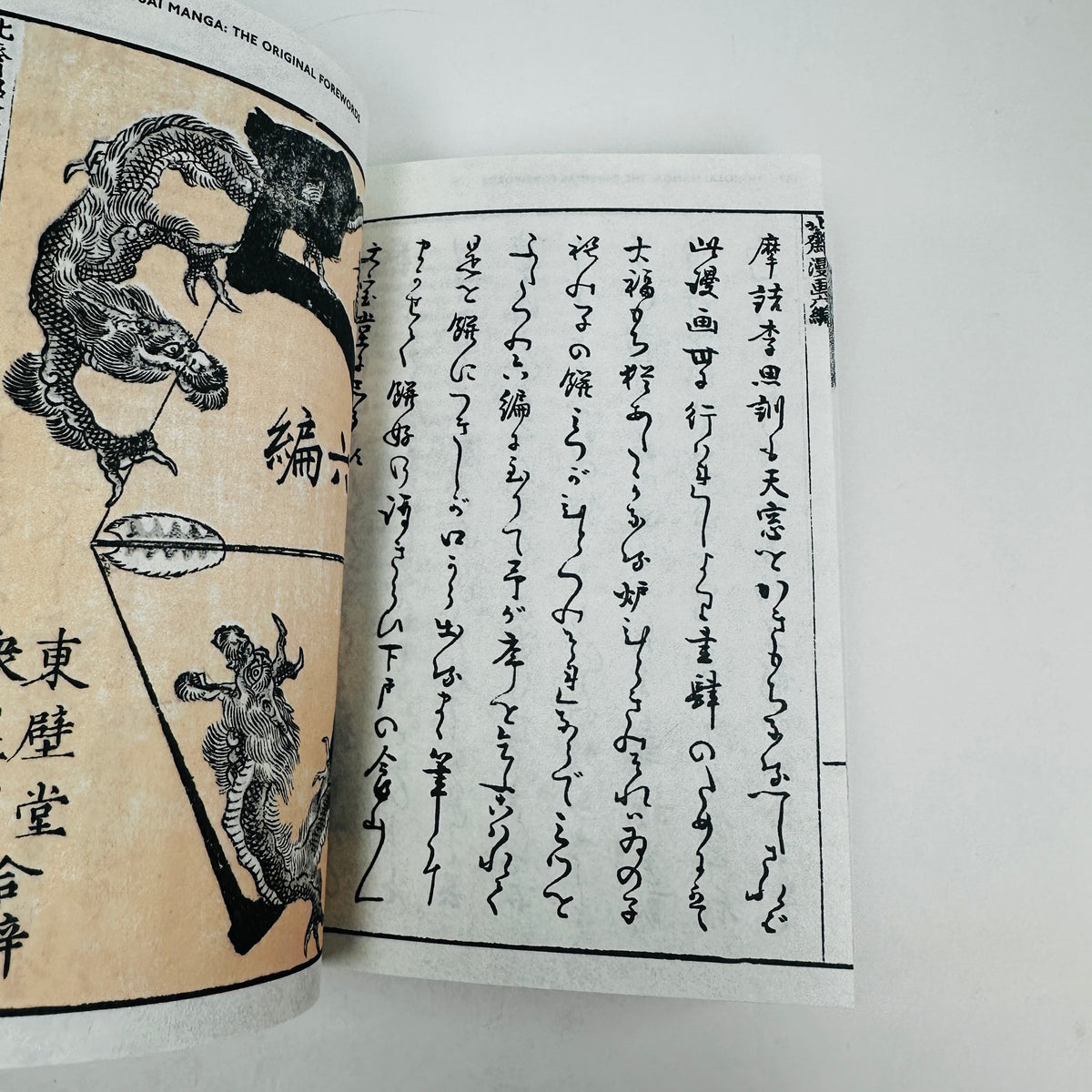 Hokusai Manga