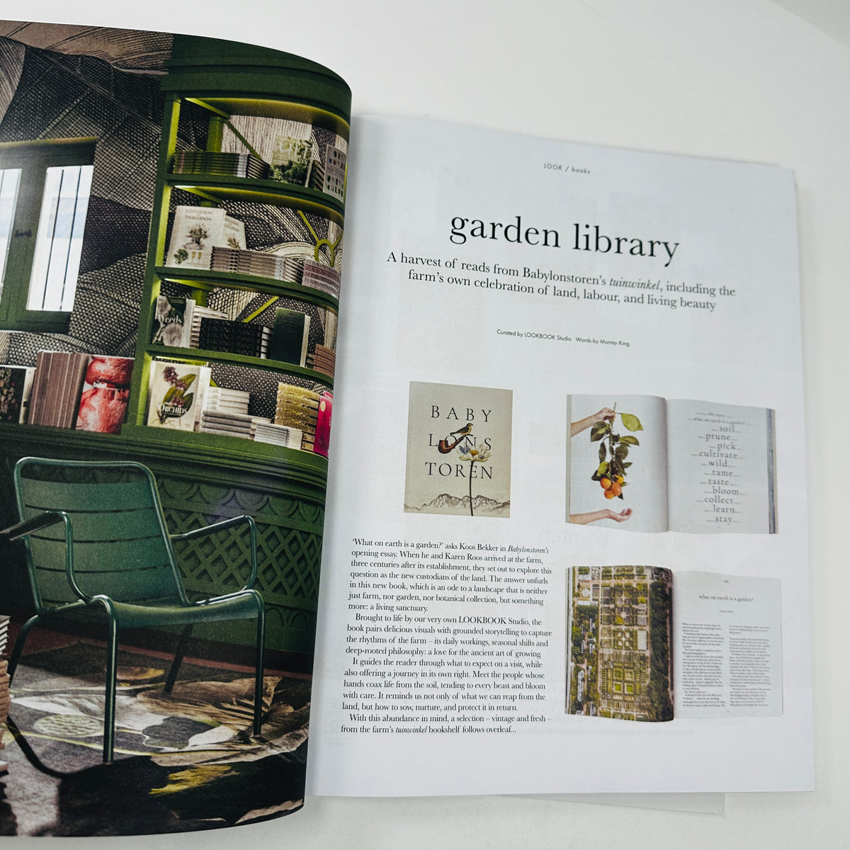 House & Leisure #17 - The Dog Paper