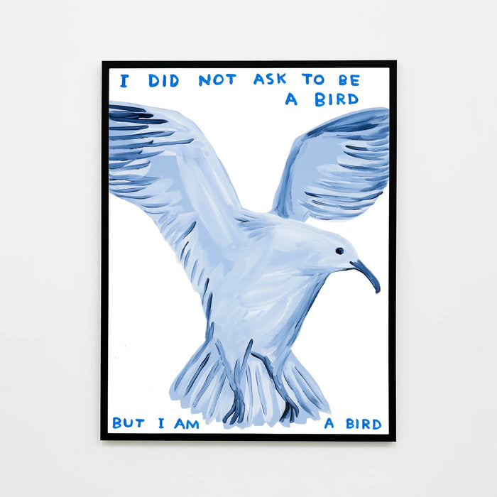 I Did Not Ask To Be a Bird - David Shrigley Poster