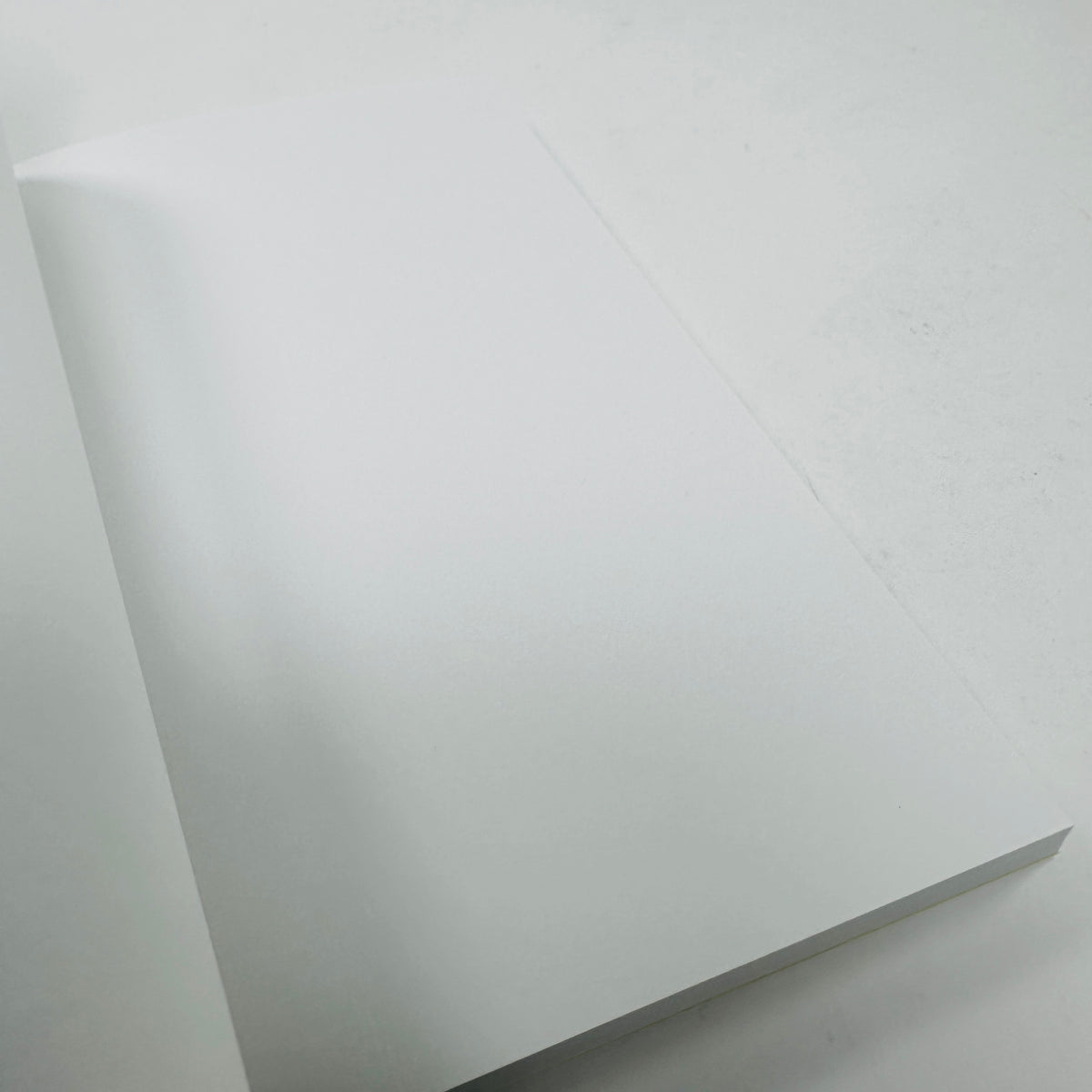 David Shrigley Sketchbook - Disrespect