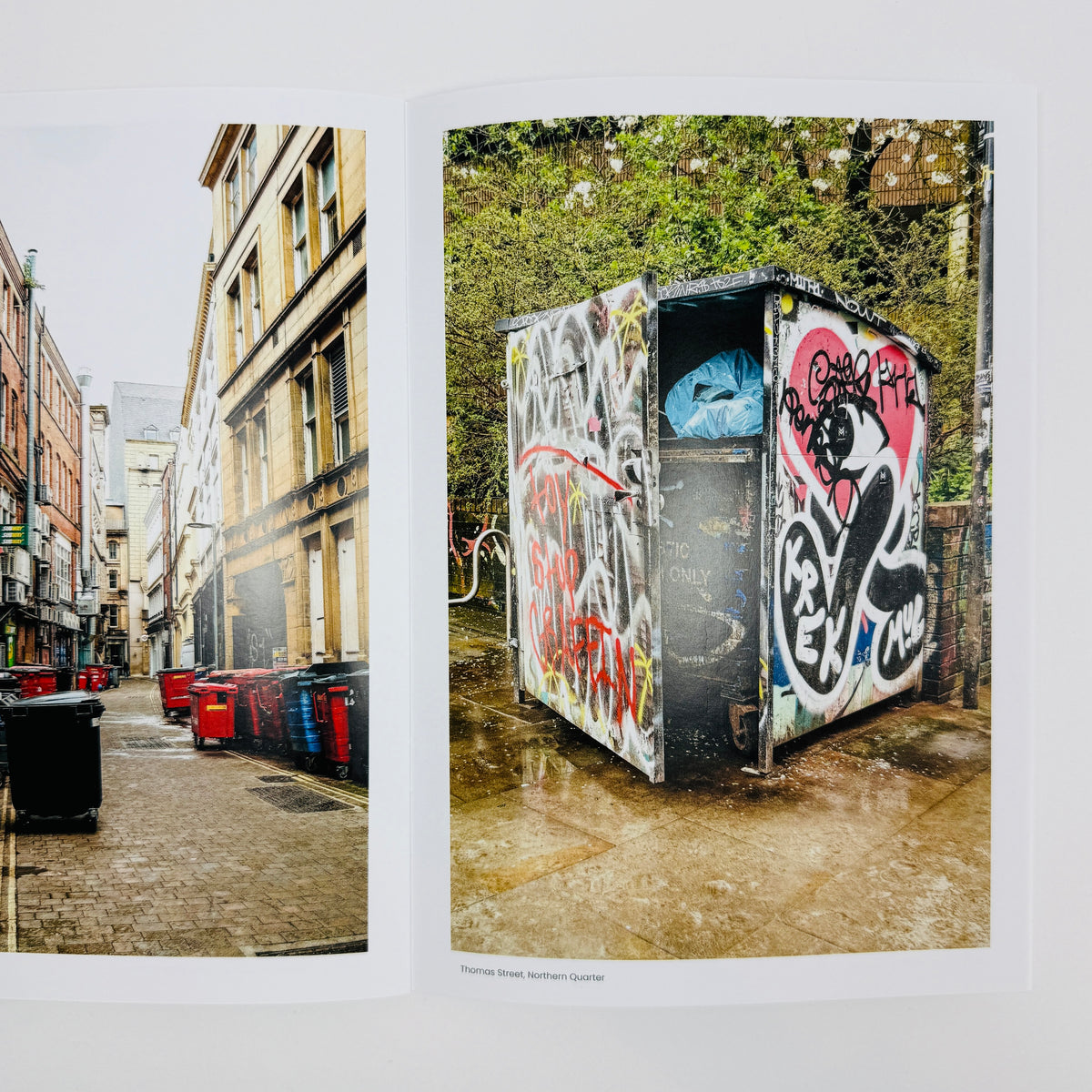 Bin Spot - Dave Murray