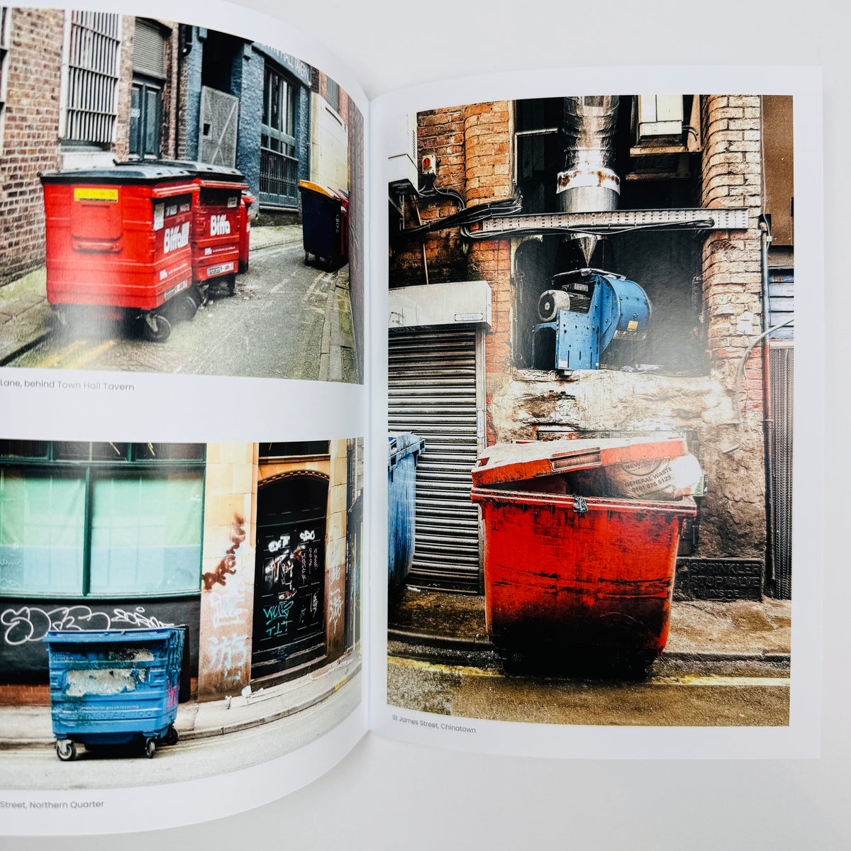 Bin Spot - Dave Murray