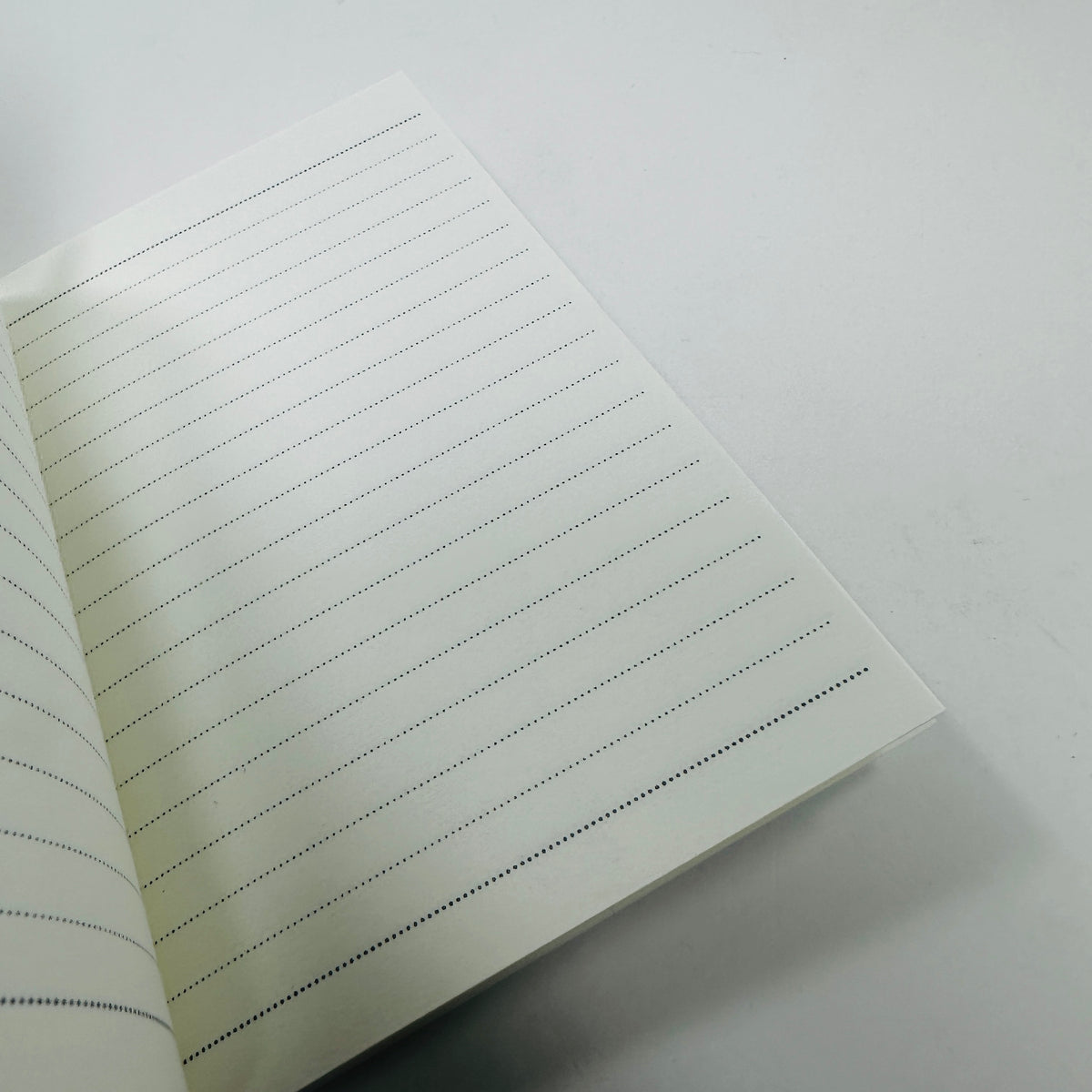 David Shrigley A6 Notebook - Live Without Tea