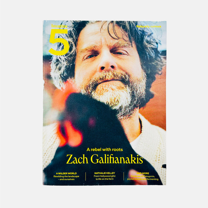 Imagine 5 #5 - Zach Galifianakis