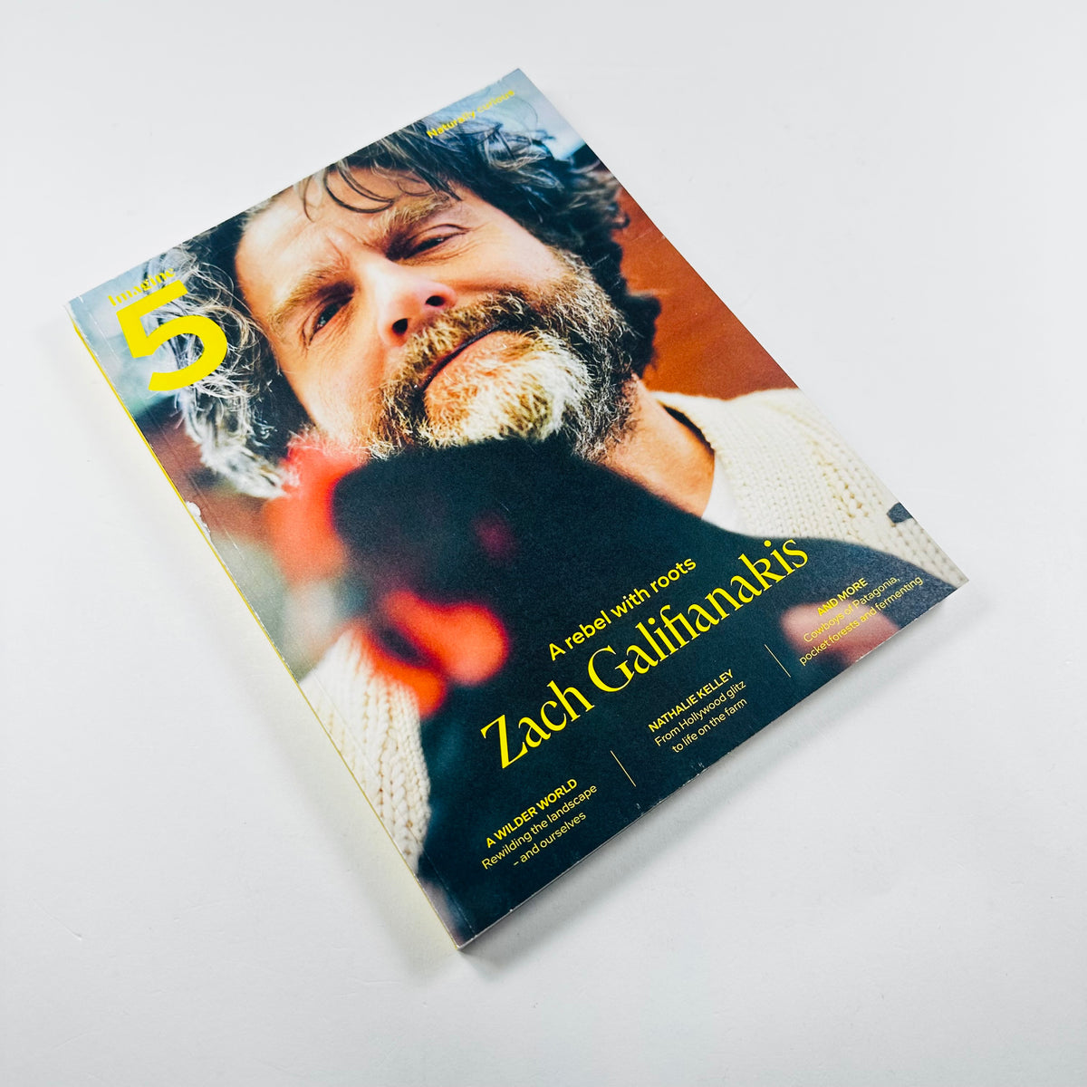 Imagine 5 #5 - Zach Galifianakis