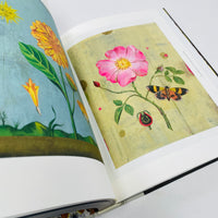 Insectile Inspiration - Insects in Art and Illustration