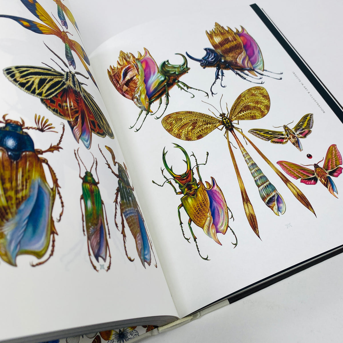 Insectile Inspiration - Insects in Art and Illustration – UNITOM
