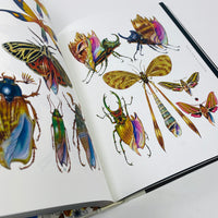 Insectile Inspiration - Insects in Art and Illustration