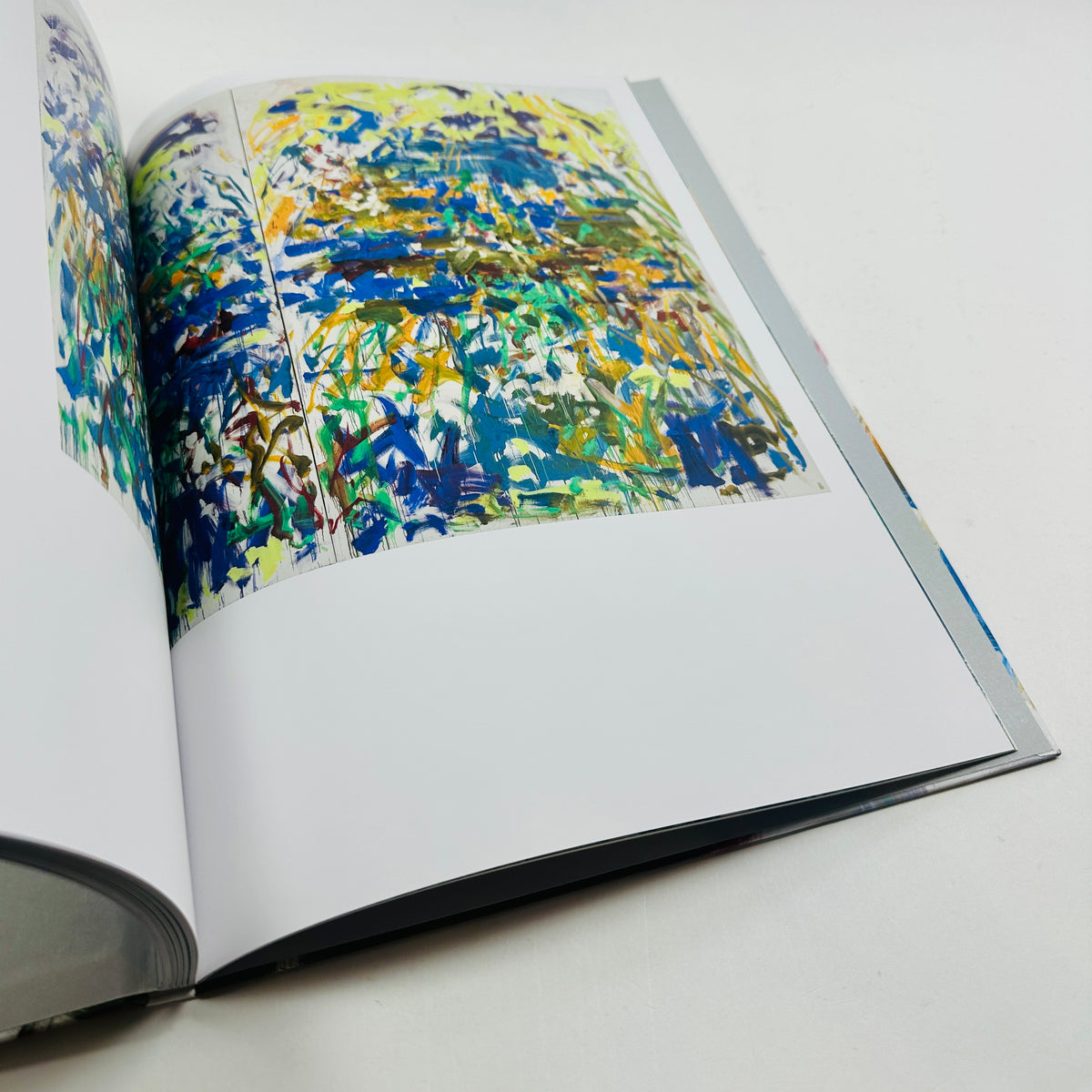 Joan Mitchell - I Carry My Landscapes Around With Me