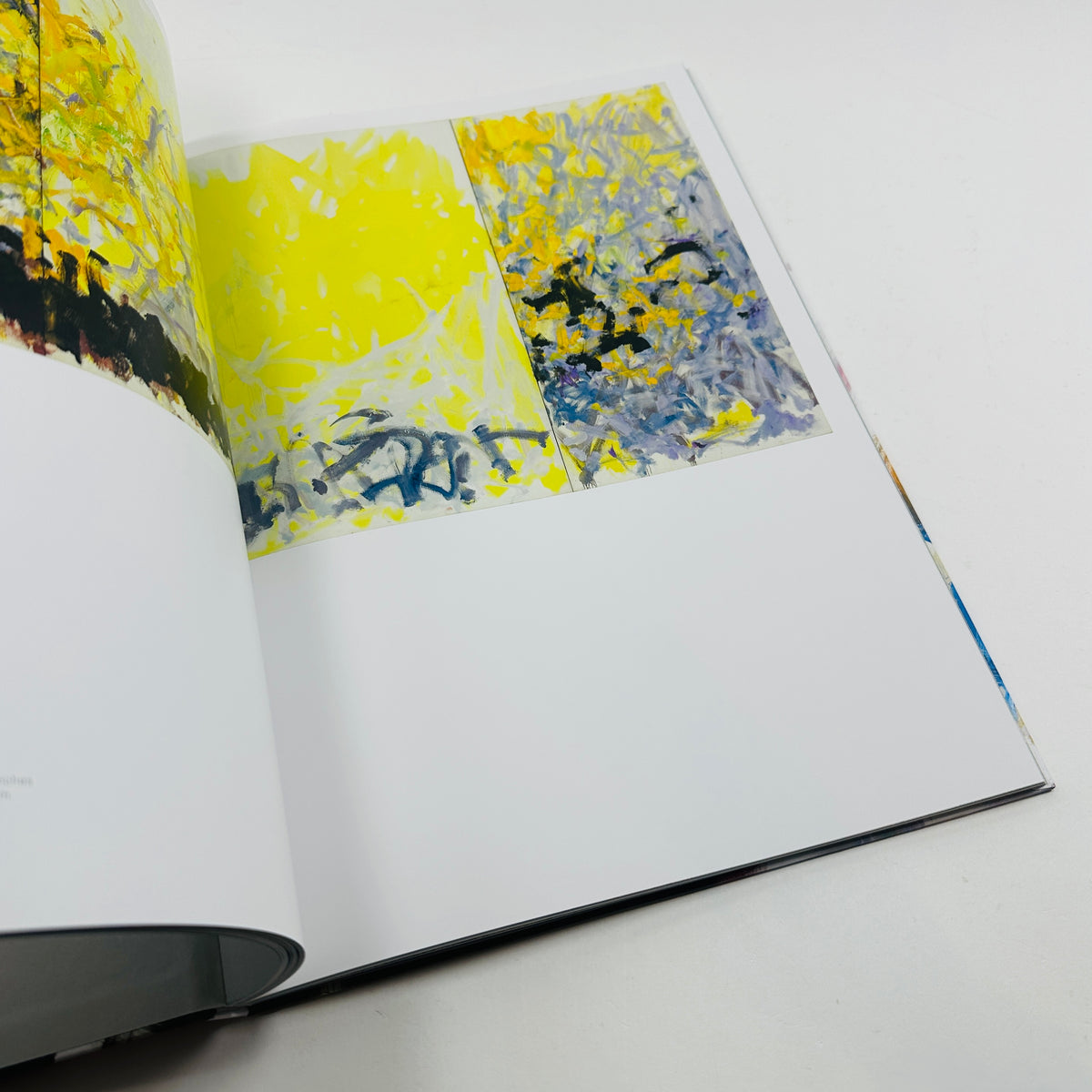 Joan Mitchell - I Carry My Landscapes Around With Me