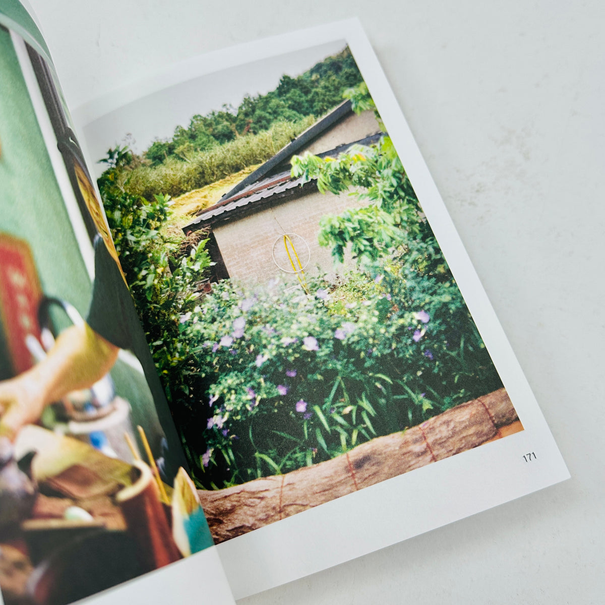 Journal du Thé - Picture book