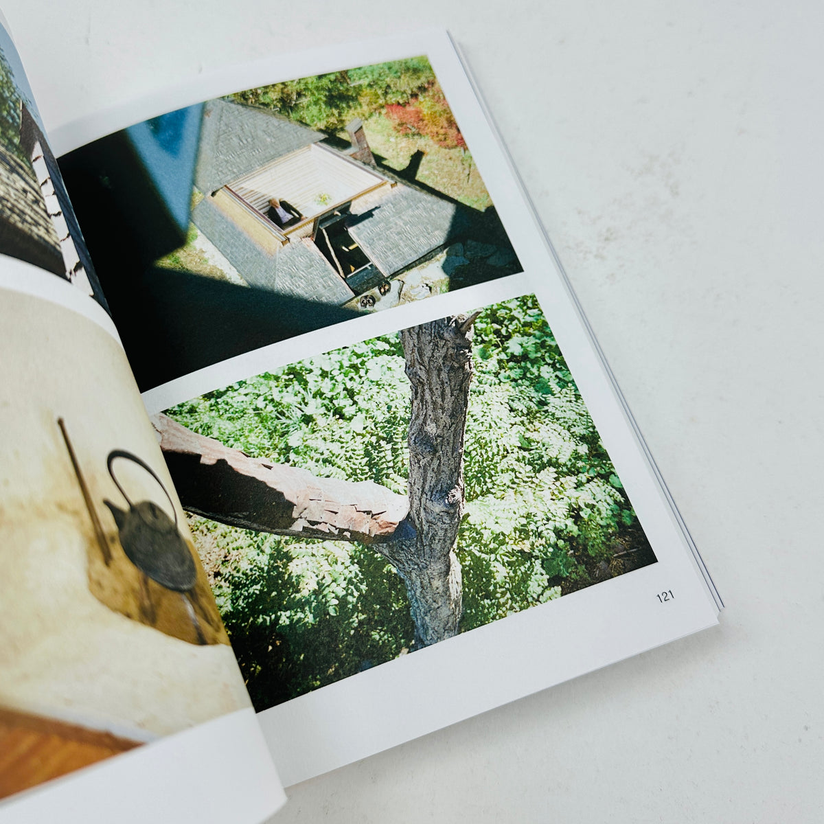 Journal du Thé - Picture book