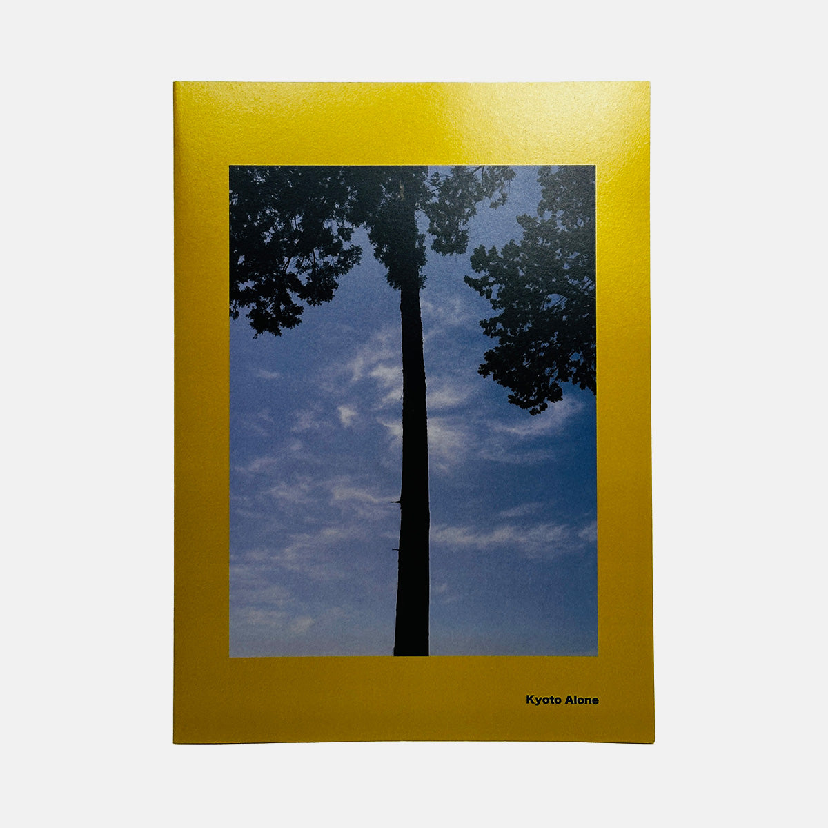 Kyoto Alone - James Bollen