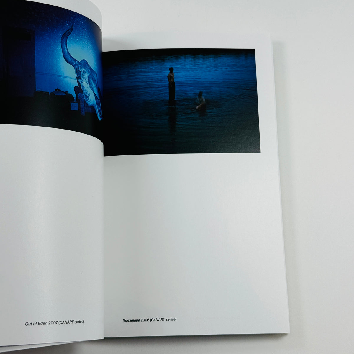 Lieko Shiga - Tate Photography Series