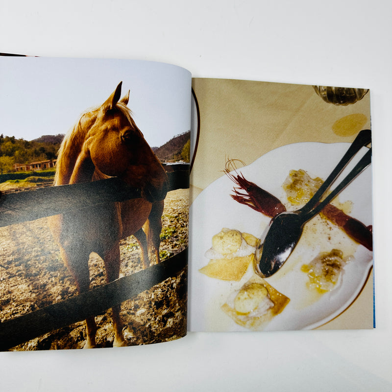 Liguria - Recipes & Wanderings Along the Italian Riviera