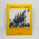 Looking At Trees - New Photography of Trees, Forests & Woodlands