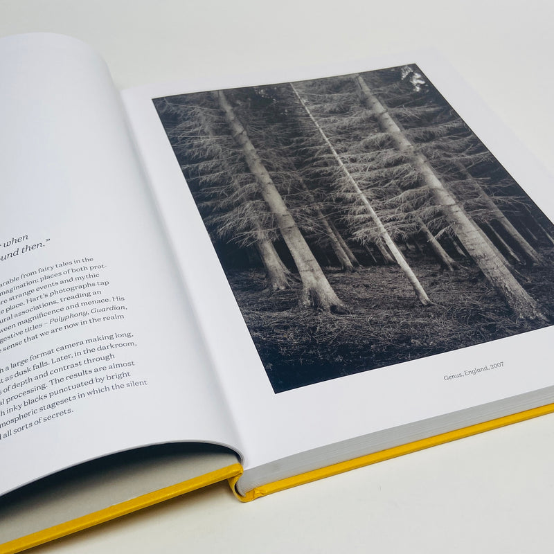 Looking At Trees - New Photography of Trees, Forests & Woodlands