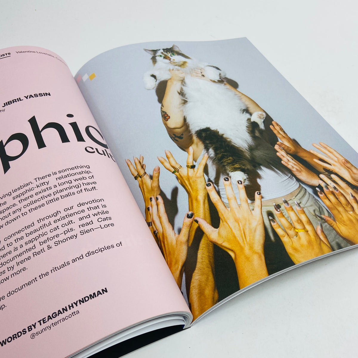 Lore #3 - The Cult Issue