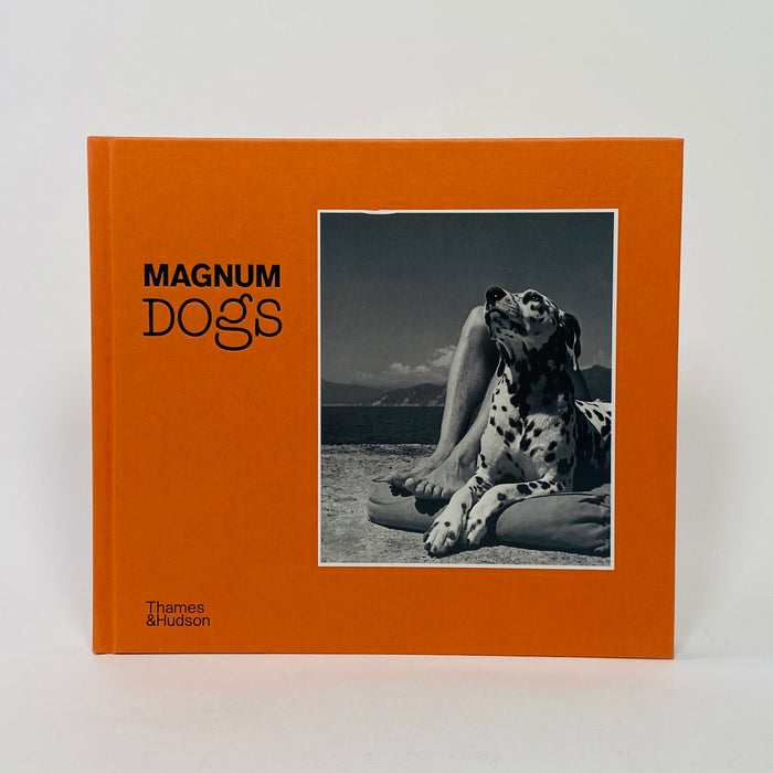 Magnum Dogs