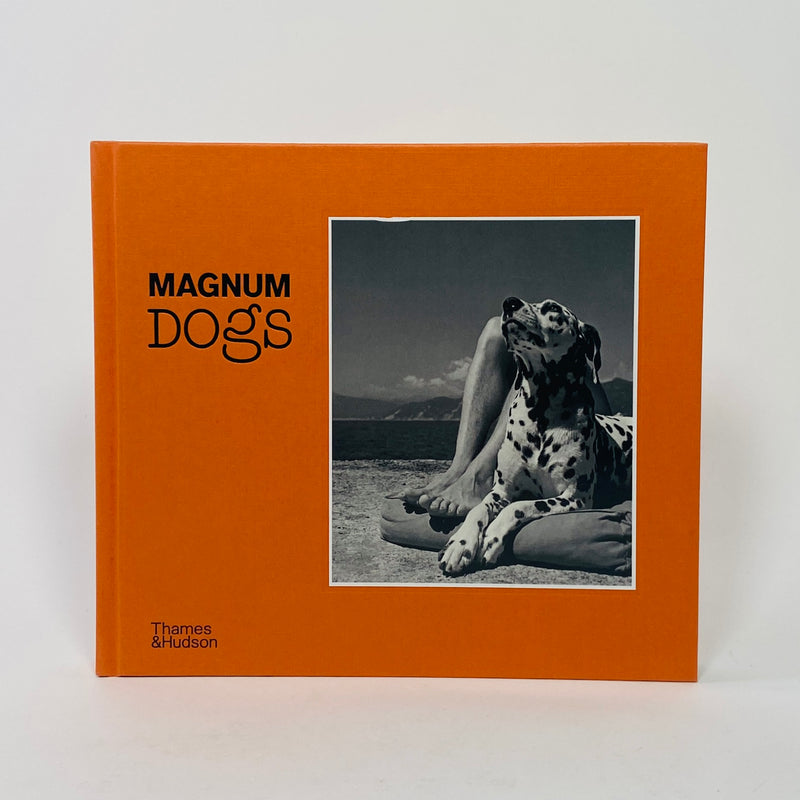 Magnum Dogs